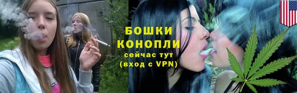 молекула духа Протвино