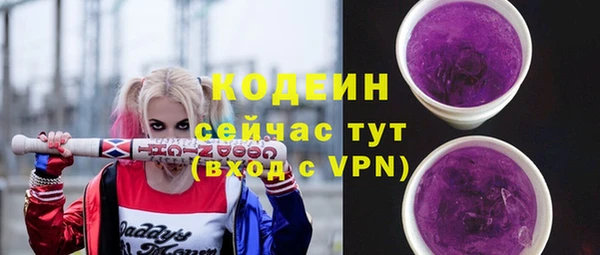 молекула духа Протвино