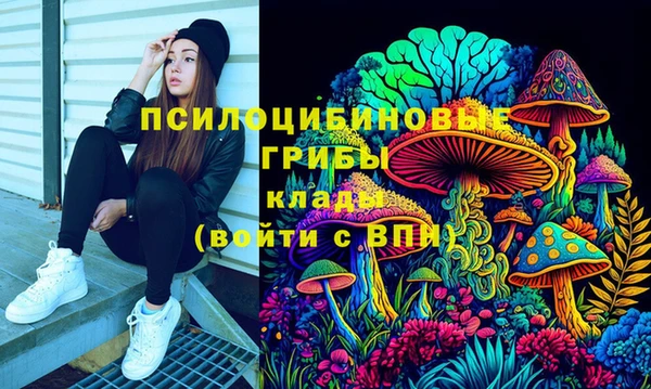 молекула духа Пролетарск