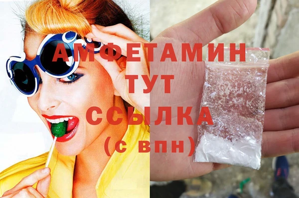 молекула духа Протвино