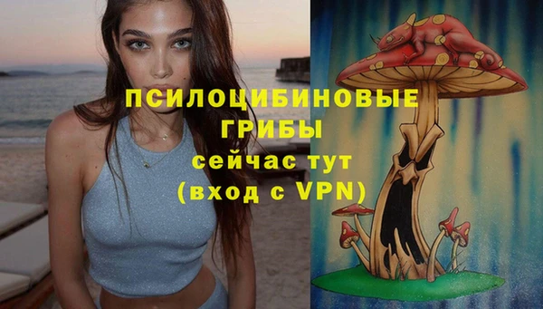 прущие крисы Приозерск