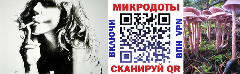 Купить закладки  Куровское  Галлюциногенные грибы мицелий 
